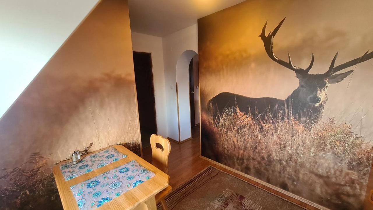 Apartamento Wynajem Pokoi Magdalena Zakopane Exterior foto